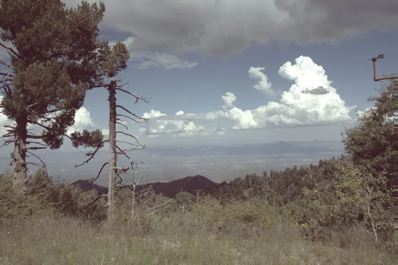 A view from Santa Catalina Mountains looking north
