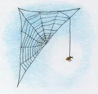 Software may be a tangled web to capture information