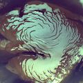 Thumbnail for version as of 02:33, 7 February 2012