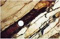 Thumbnail for version as of 21:35, 13 February 2012
