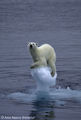 Thumbnail for version as of 20:12, 15 January 2012