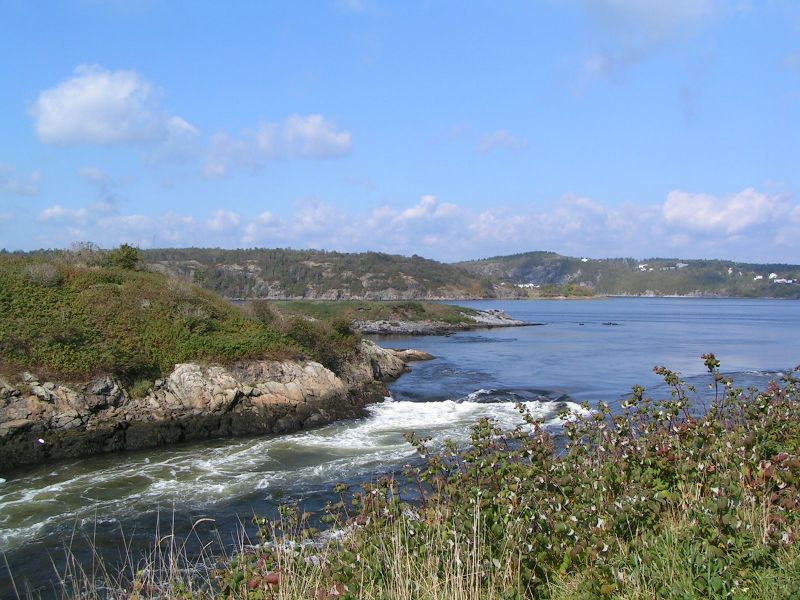 File:Moon reversing falls fundy 1 low tide.jpg